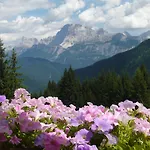 Panorama 3* Falcade
