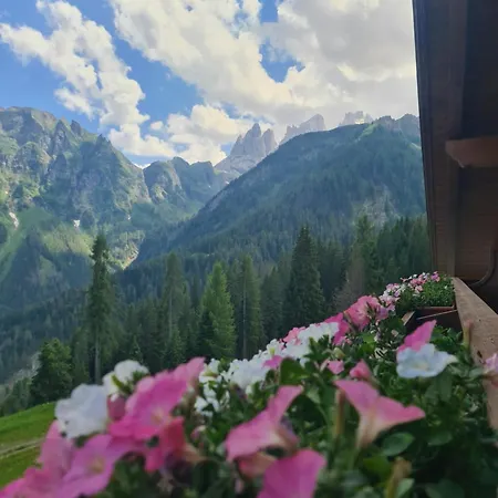 شقة فندقية Panorama