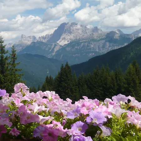 파노라마 3* 팔카데